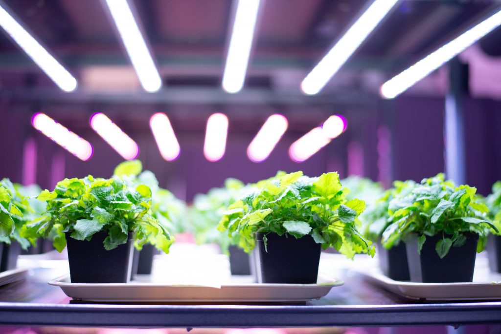 Heliospectra levererar belysning för 72 miljoner till Smart Farming