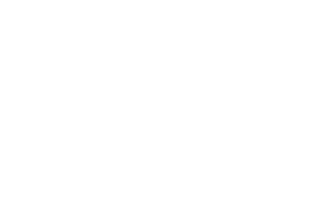 Borås Inkubatorn logotype